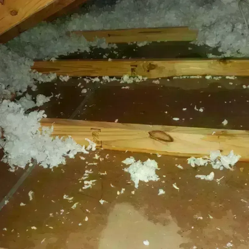 Attic Water Damage in Annandale, NJ