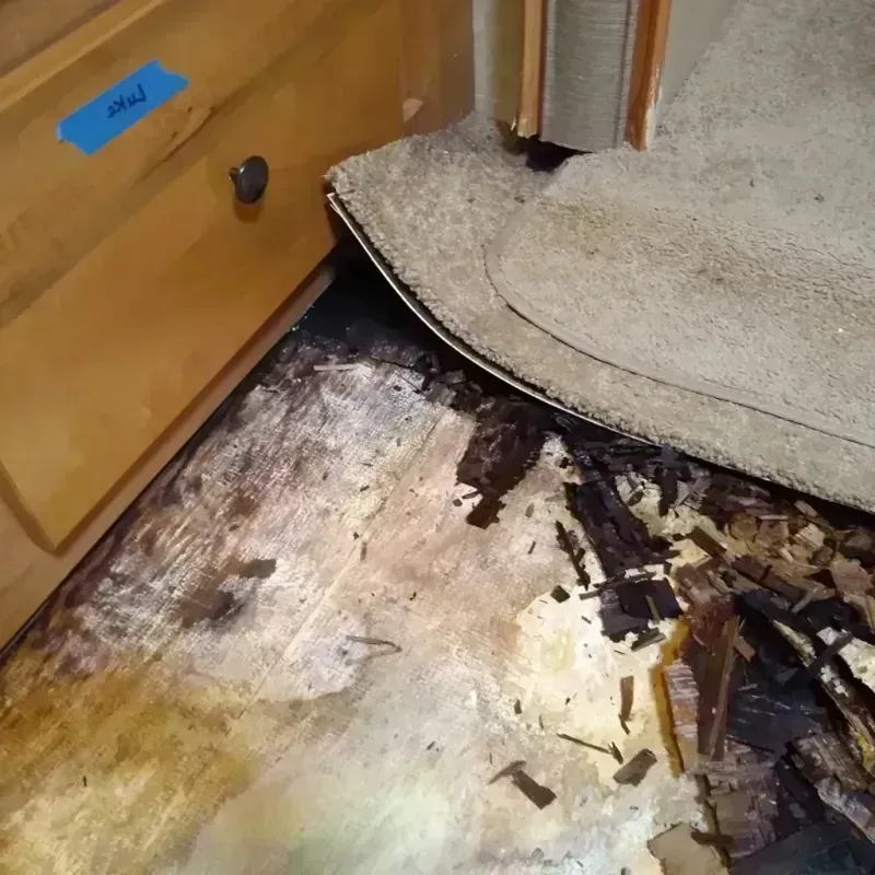 Wood Floor Water Damage in Annandale, NJ